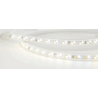 Tira Led Blanca