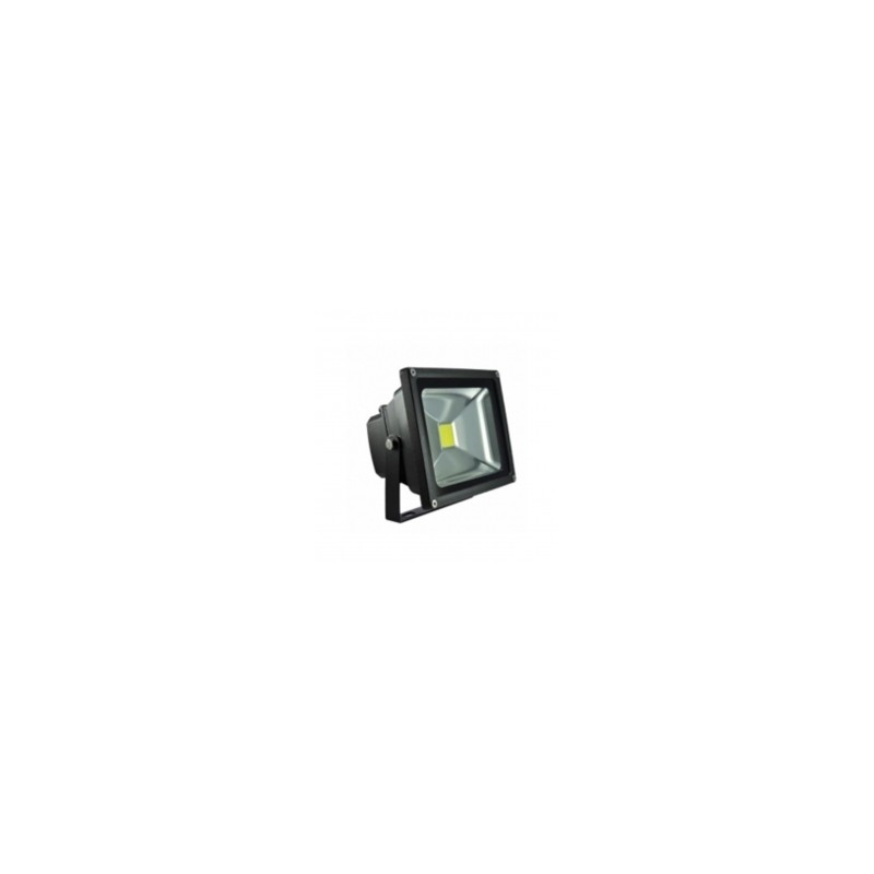 Reflector 100 Watts Luz Blanca