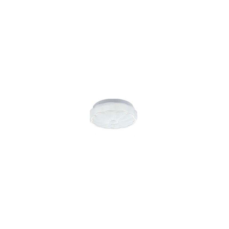 Plafon Liso Flor  Acrilico IIDSA