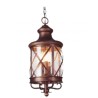 Lampara colgante San Luis 2 luces Cafe